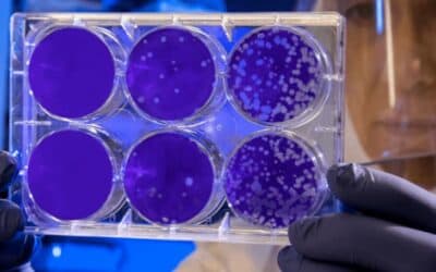 Oxford Study Finds That Half Of The UK Has Already Been Infected By Coronavirus